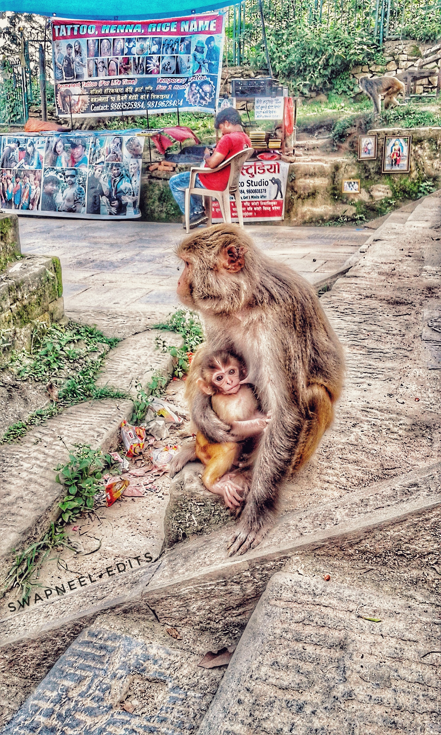 Read more about the article Motherly love: