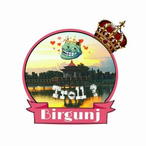 Read more about the article ट्रोल बीरगञ्जले तहल्का मचाउँदै