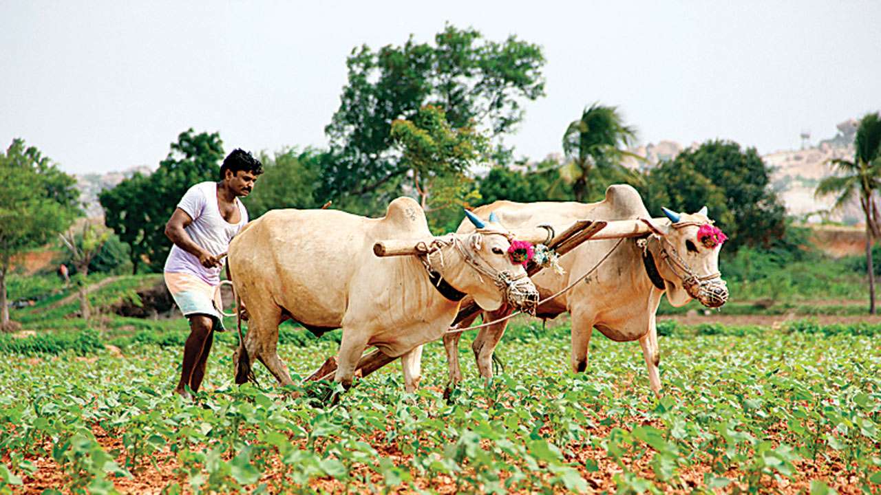 Read more about the article पर्सा जीला के किसानसब भारत पर निर्भर