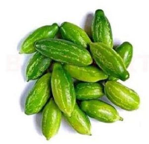 Read more about the article यी मानिसहरूले कुन्द्रु खानु हुँदैन, लाभको सट्टा ठूलो घाटा हुनेछ