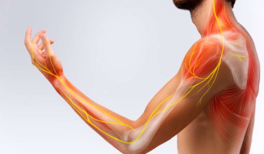 You are currently viewing शरीरमा यो १ भिटामिनको कमीले स्नायुले लगातार समस्यामा पार्ने छ