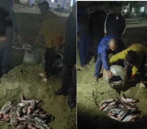 Read more about the article १ क्विन्टल माछा सर्लाही प्रहरीको नियन्त्रणमा