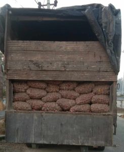 Read more about the article फेरि ९ लाख भन्दा बढीको प्याज बारा प्रहरीको नियन्त्रणमा