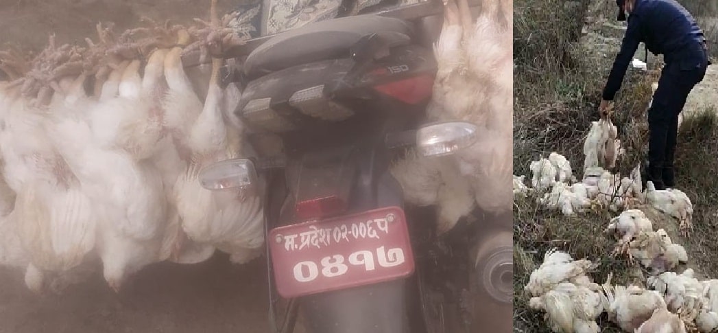 You are currently viewing ६२ पिस कुखुरा सहित मोटरसाइकल नियन्त्रणमा