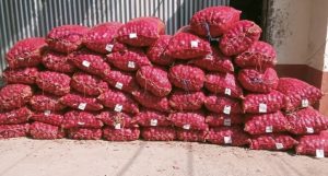 Read more about the article भन्सार छलीको ५० बोरा प्याज प्रहरीको नियन्त्रणमा