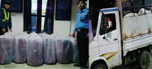 Read more about the article मिनि ट्रकमा तरकारीको बोरा भित्र राखेको ५ सय ४४ किलो गाँजा बरामद