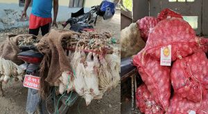 Read more about the article अबैध कुखुरा र प्याज प्रहरीको नियन्त्रणमा