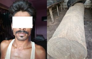 Read more about the article अबैध सालको काठ प्रहरीको नियन्त्रणमा